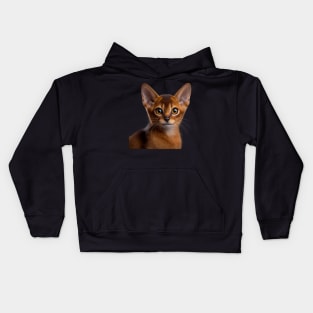 Abyssinian Cat - A Cute Gift Idea For All Cat Lovers And Cat Moms Kids Hoodie